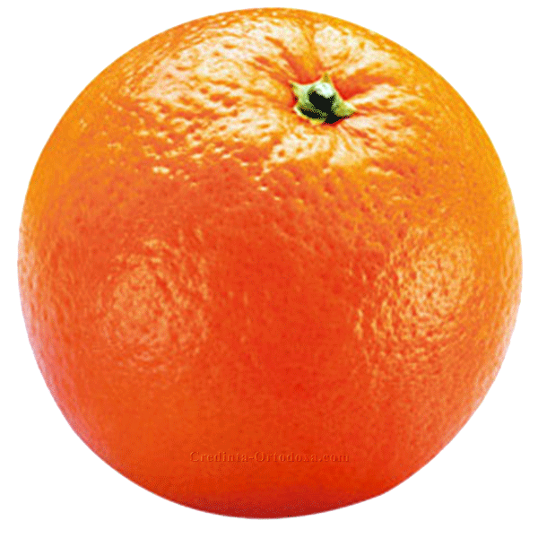 Portocala orfanului – cel mai frumos dar de Craciun