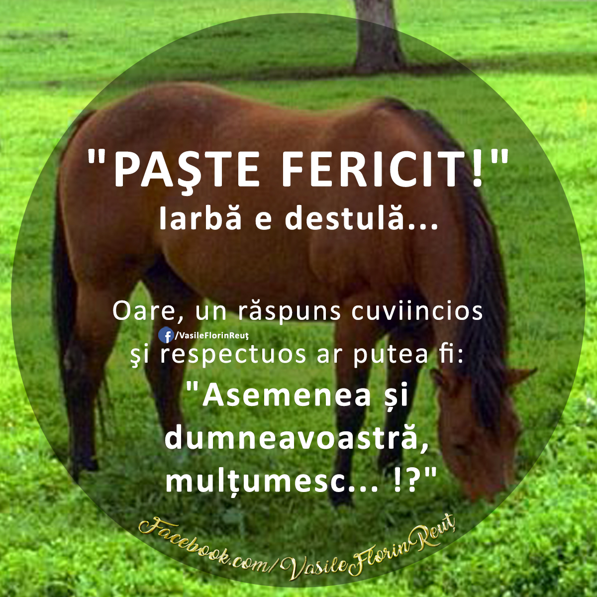 PAŞTE FERICIT!
