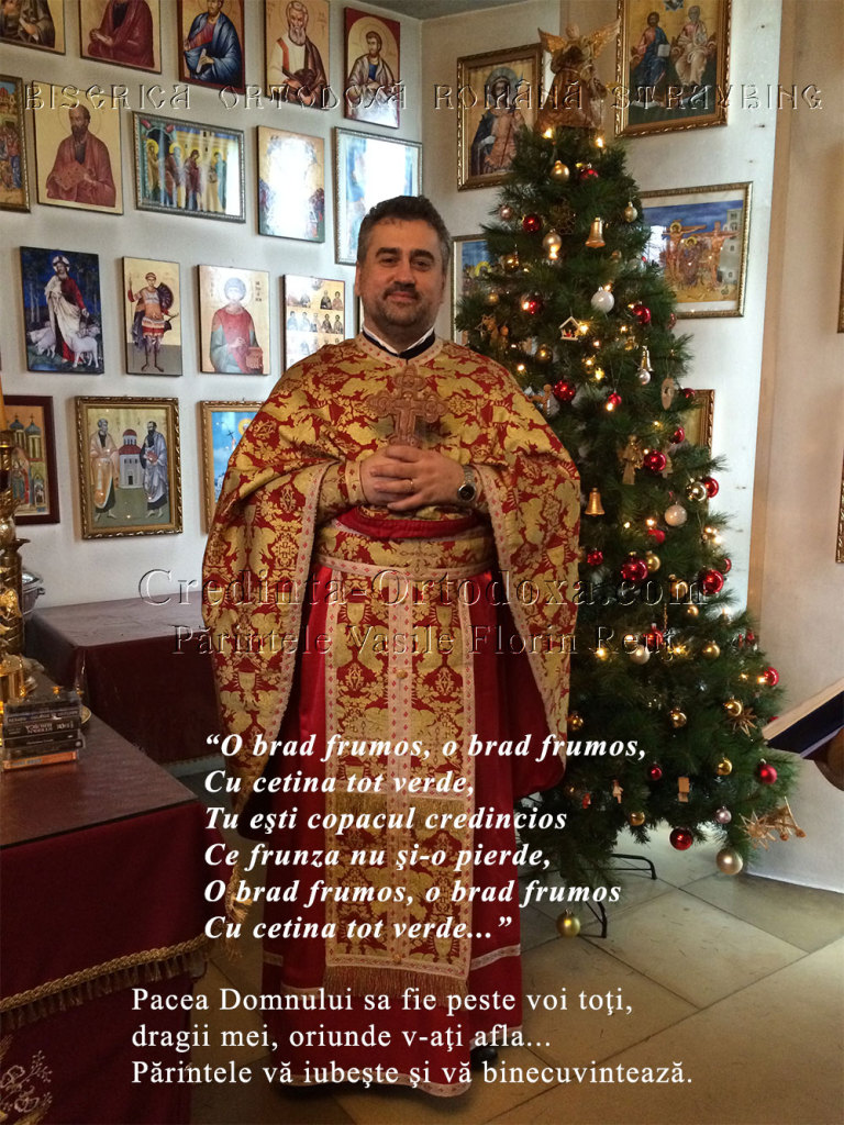 O brad frumos, o brad frumos, cu cetina tot verde… Bucurie si binecuvantare, dragi prieteni de pretutindeni