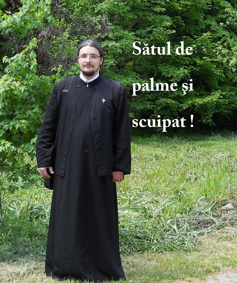Preoti nevrednici? De ce judecam padurea dupa uscaturi?