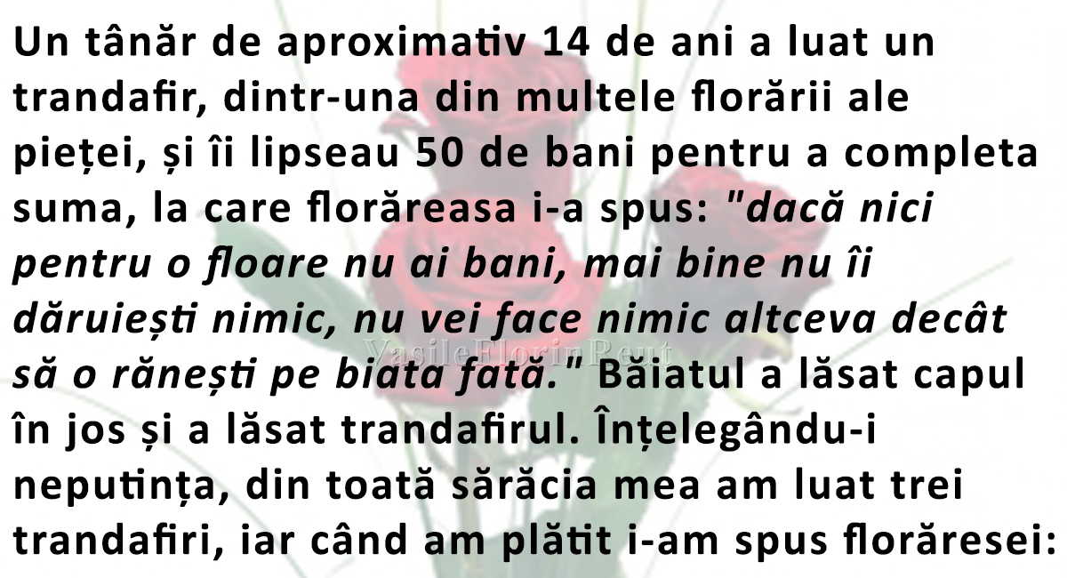 Poveste de Valentine’s Day, tristă și adevărată: Tânărul și trandafirul