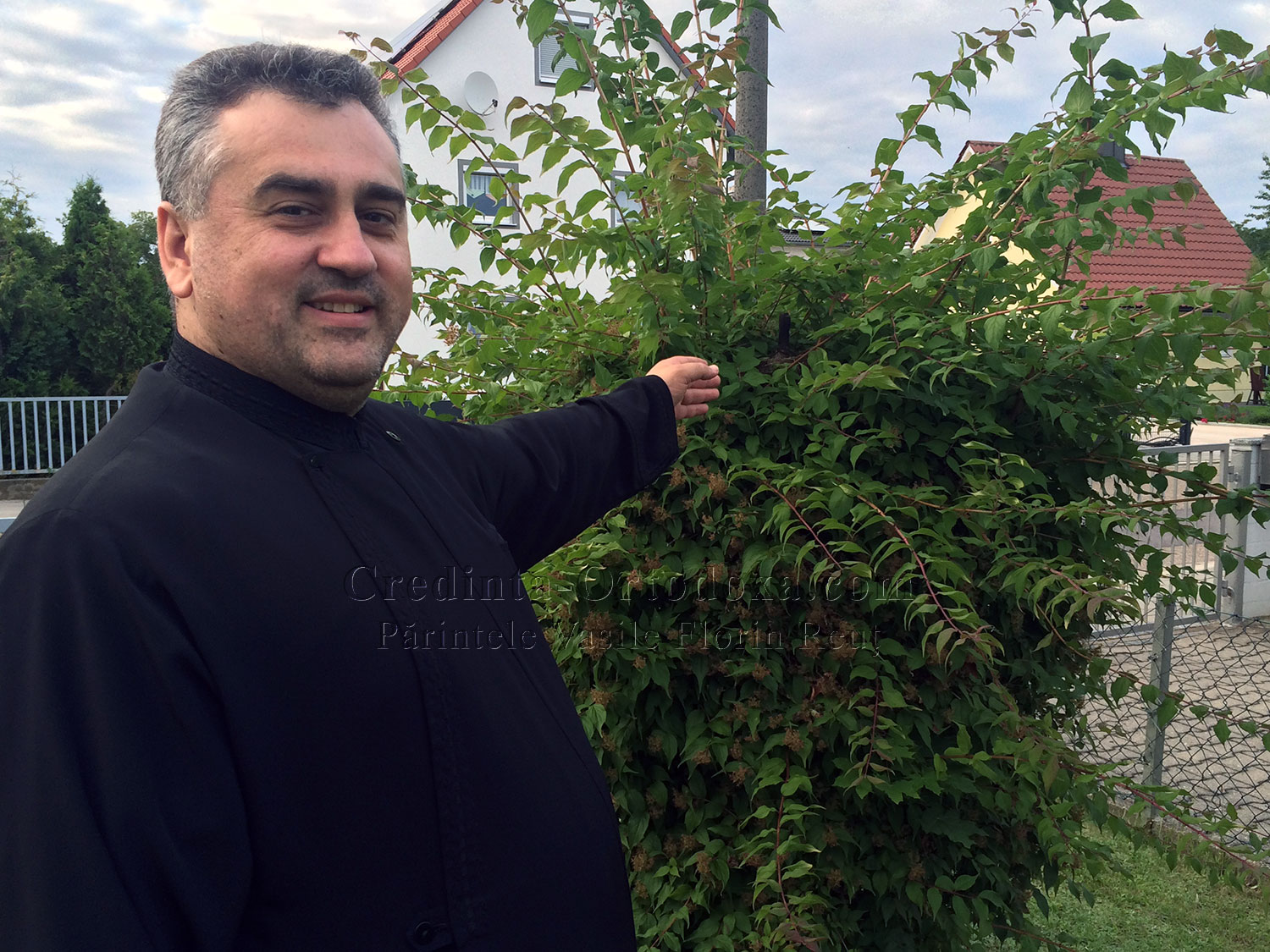 Mă vorbeşte lumea: de ce nu tund pomişorul de lângă casă? Iată răspunsul în fotografie: