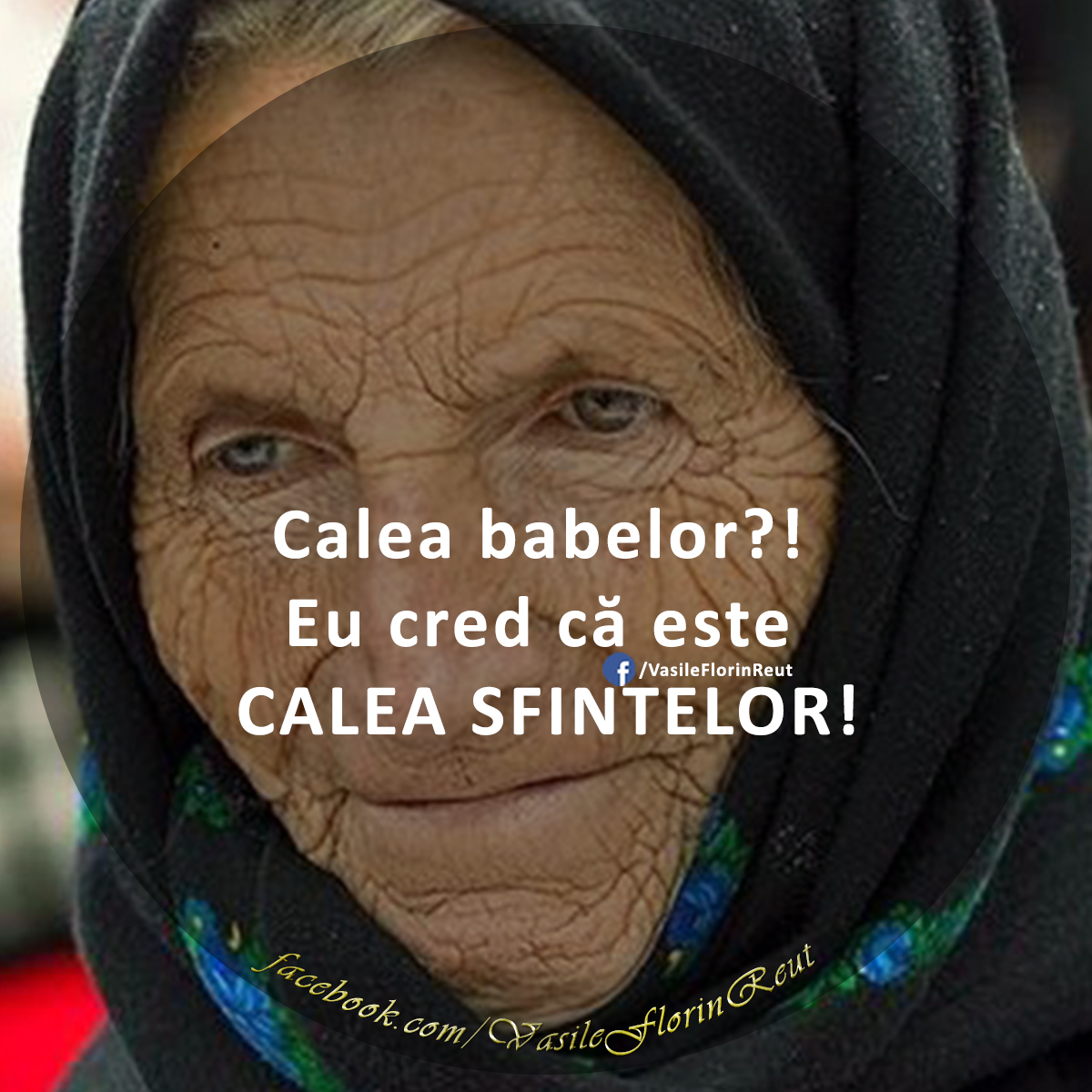 SARCASM sau RĂUTATE GRATUITĂ: Calea Babelor