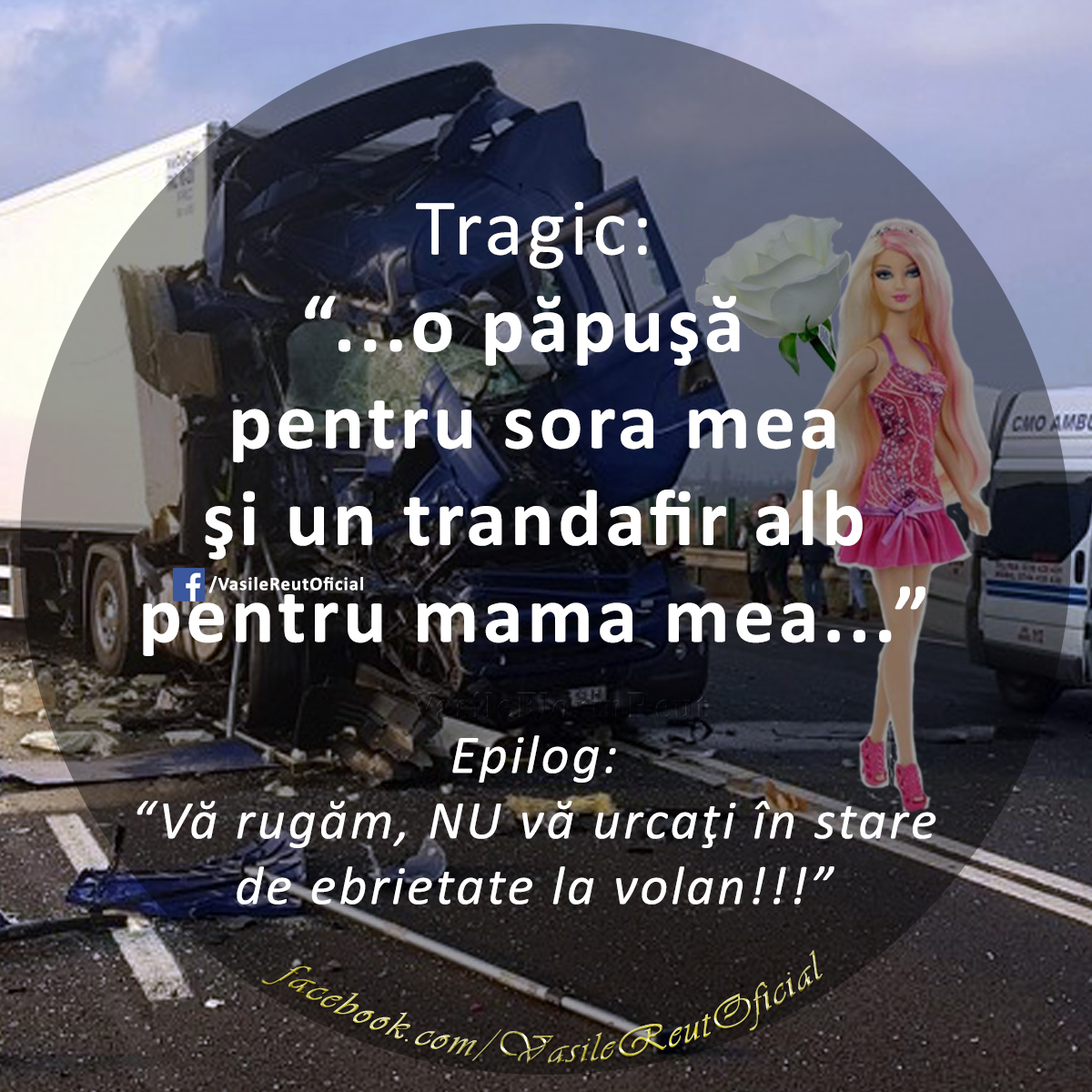 O păpuşă şi un trandafir alb